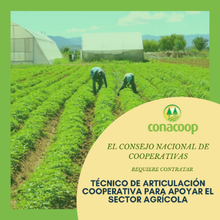 Conacoop busca Técnico para el Sector Agrícola